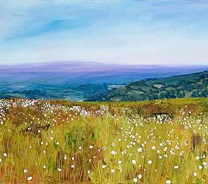 Flowers at Foxhunter