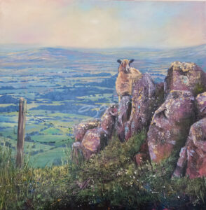 Ready or not, I'm coming!