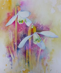 Snowdrops 4